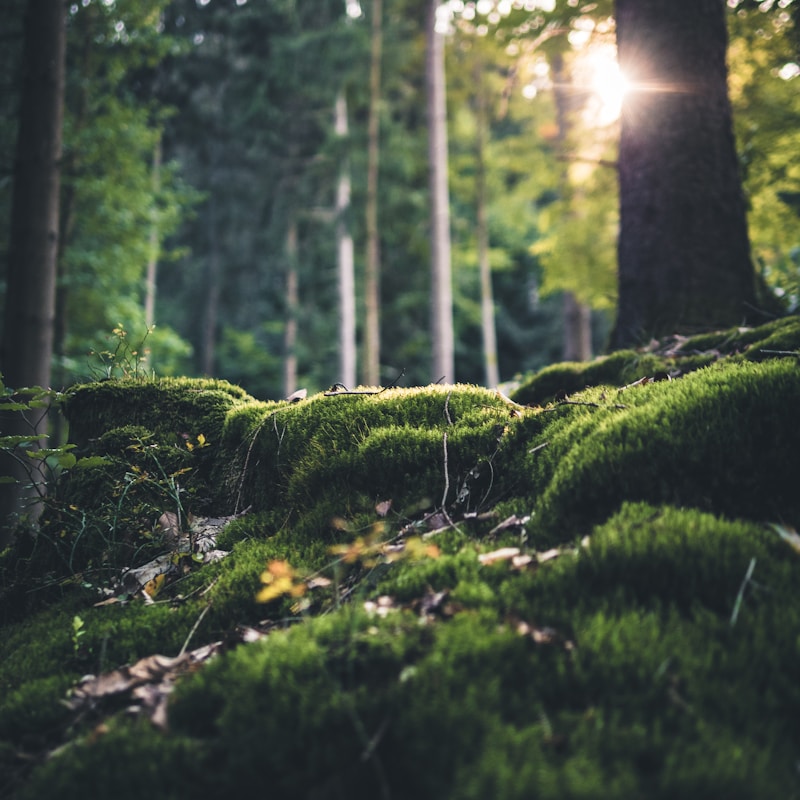 Datenschutz für Gemeinden